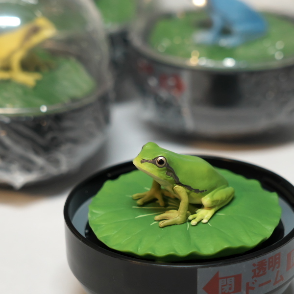 原型担当商品のご紹介（ウォータードームファクトリー ニホン