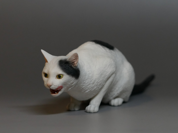 群猫改め新猫 新作猫 その29: 猫と原型師